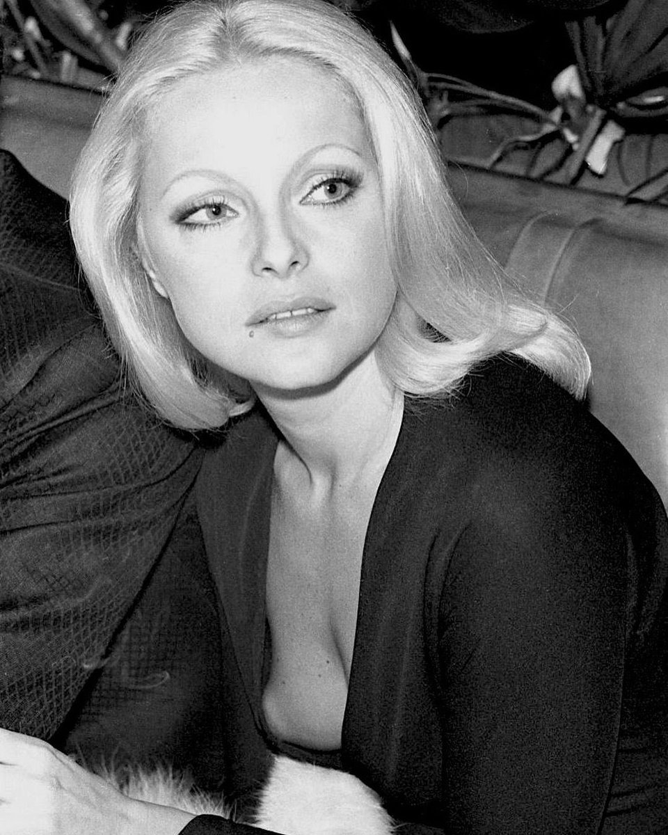 Mambo Italiano tweet media