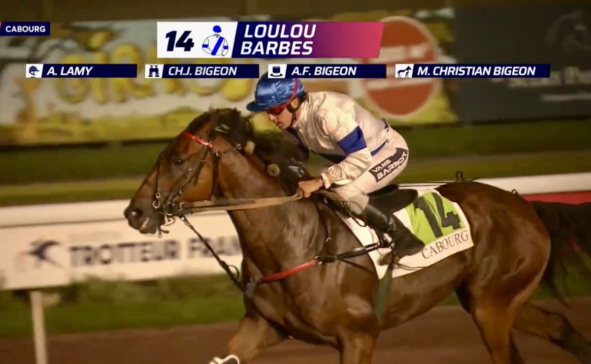 ⭐️TIEGO D’ETANG⭐️

🥇Loulou Barbes s’impose en ce mardi de clôture sur l’hippodrome de Cabourg !

👏🏼 ChJ.Bigeon / AF.Bigeon / A.Lamy / Ch.Bigeon

#TiegodEtang