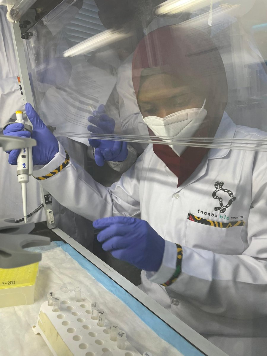 MRL_Uniosun's tweet photo. On Monday, August 26, 2024, we successfully started our first GENE EXPRESSION WORKSHOP in partnership with @inqababiotecWA. It’s been a great event. https://t.co/CjhVr0pIL2