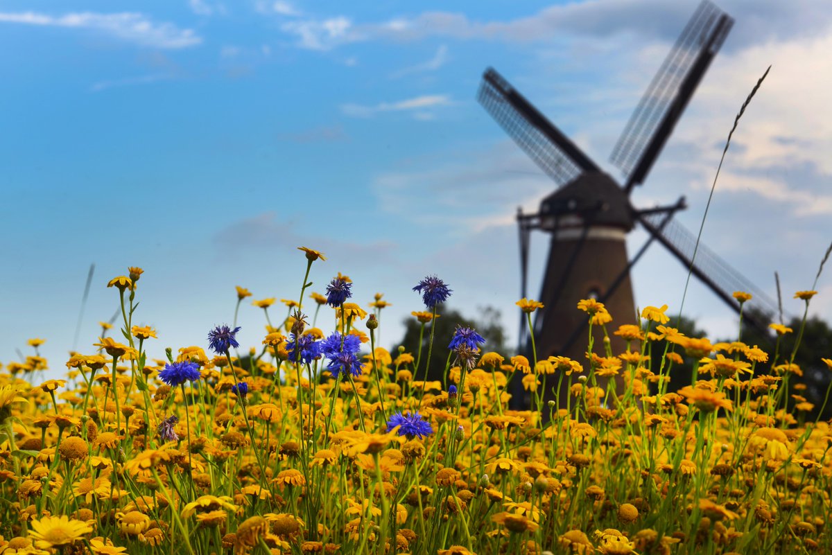 We hebben 2 #vacatures binnen het regionale programma energietransitie. Procesmanager gebouwde omgeving en procesmanager warmte. Een baan waarbij je écht het verschil kunt maken in de samenleving.
Meer informatie en solliciteren via:
werkenbijdeoverheid.nl/vacatures/proc…