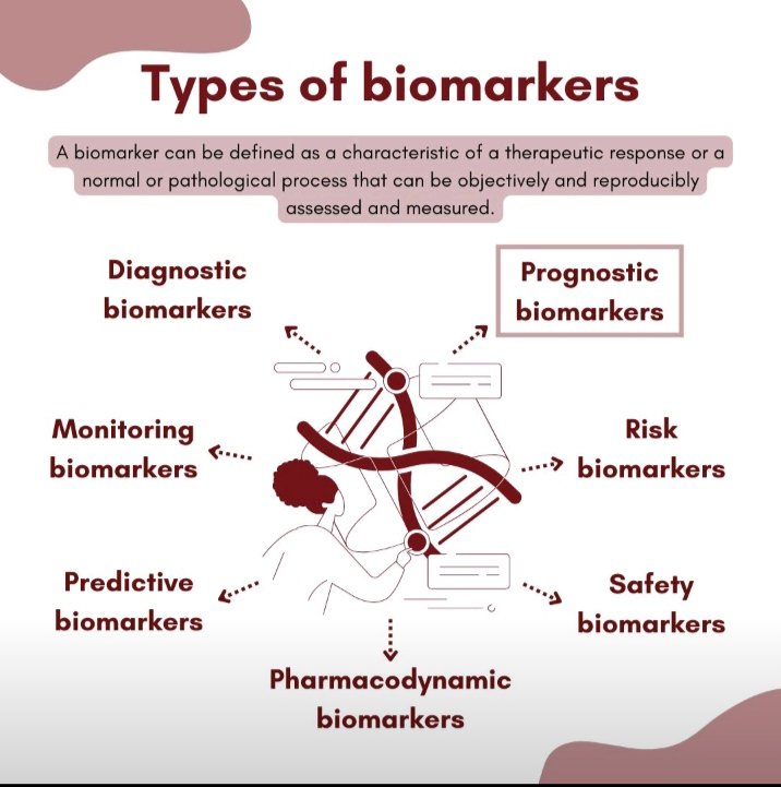petthokozt's tweet photo. In my pursuit of advancing the understanding of the progression from ductal Carcinoma in situ (DCIS) to Invasive Breast Cancer (IBC), I am deeply engaged in exploring the critical role of biomarkers.
Thanks and credit to #Lisaray for the brochure. https://t.co/AIPZPYEVz4