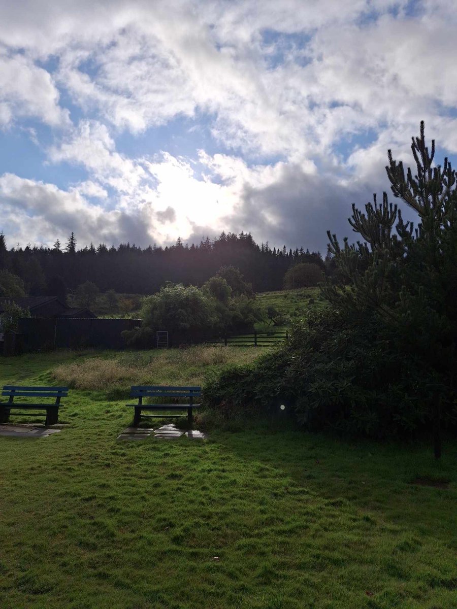 Kintailbop's tweet photo. Oh my!! We have sun this morning #argyll #lochawefalconry #argyllfalconry #earlyautumn https://t.co/08yrRDotZj