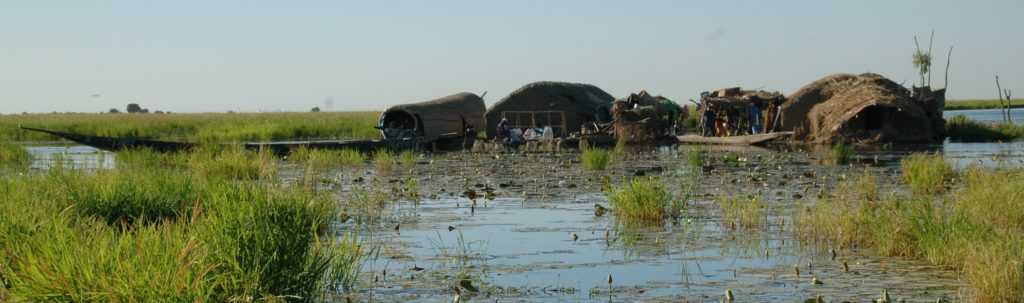 Dit jaar is sprake van overvloedige regenval in de #Sahel, wat leidt tot zeer grote overstromingen in de delta van de Niger in Mali. Dat blijkt uit het early warning-systeem OPIDIN, dat <a href="/altwym/">Altenburg & Wymenga</a> samen met lokale partners heeft ontwikkeld. Voor meer info:
altwym.nl/nieuws/veel-re…