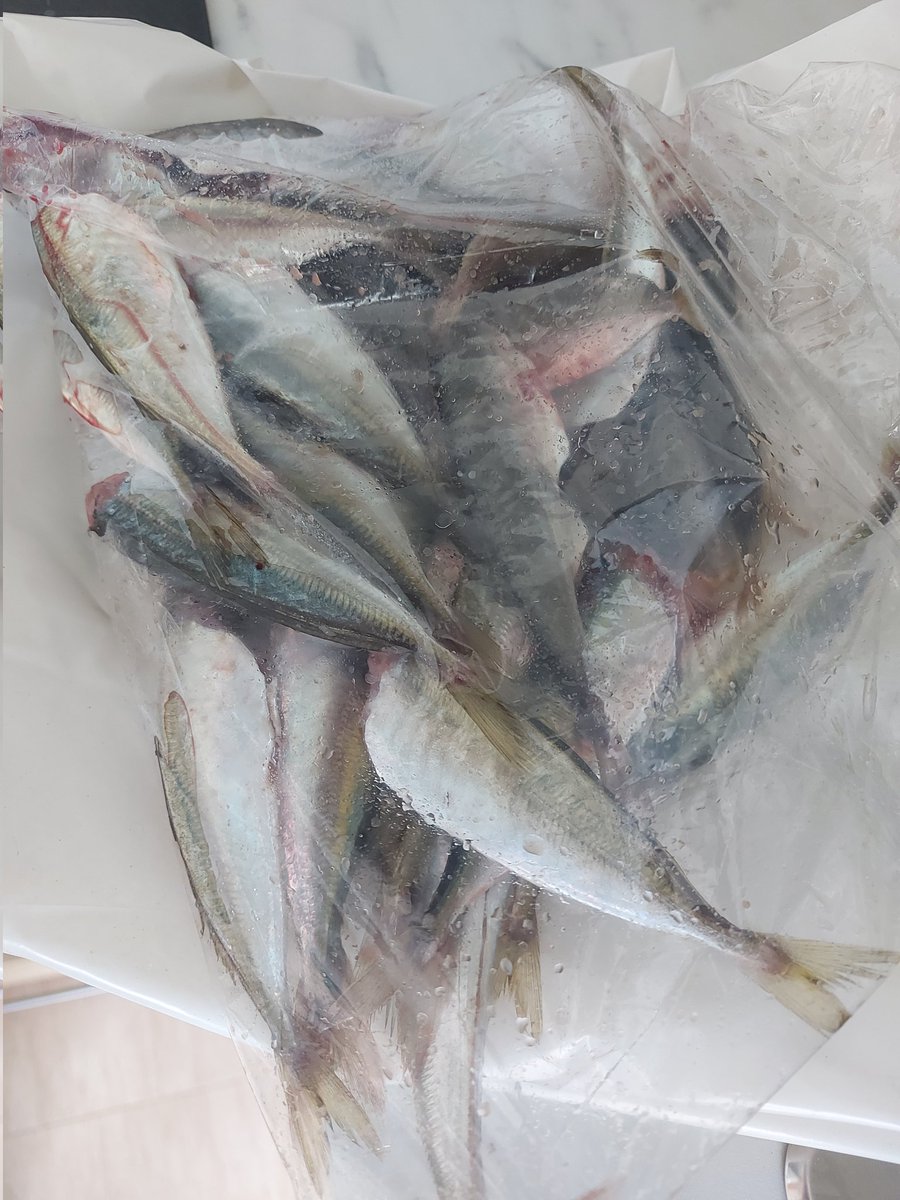 Anduven lixeiro e fondínllelos