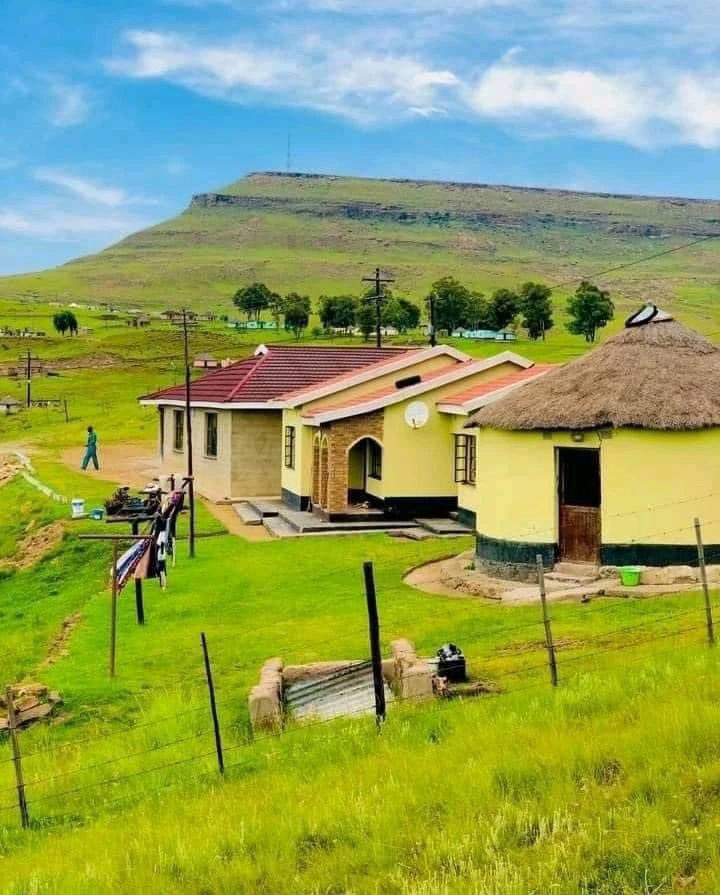 BongsMahlangu_'s tweet photo. This is the end goal 🏠 https://t.co/5dbrHzLk56
