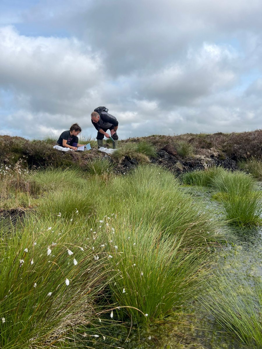 Wrth i'r tymor magu ddod i ben, mae ein ffocws yn symud i fath wahanol o arolygon...Gweision y neidr!

Mae'r pryfed hardd hyn yn ddangosyddion allweddol o ecosystem iach, ac mae ein tîm o staff a gwirfoddolwyr wedi bod allan dros yr wythnosau diwethaf yn eu cyfrif.

#rspb