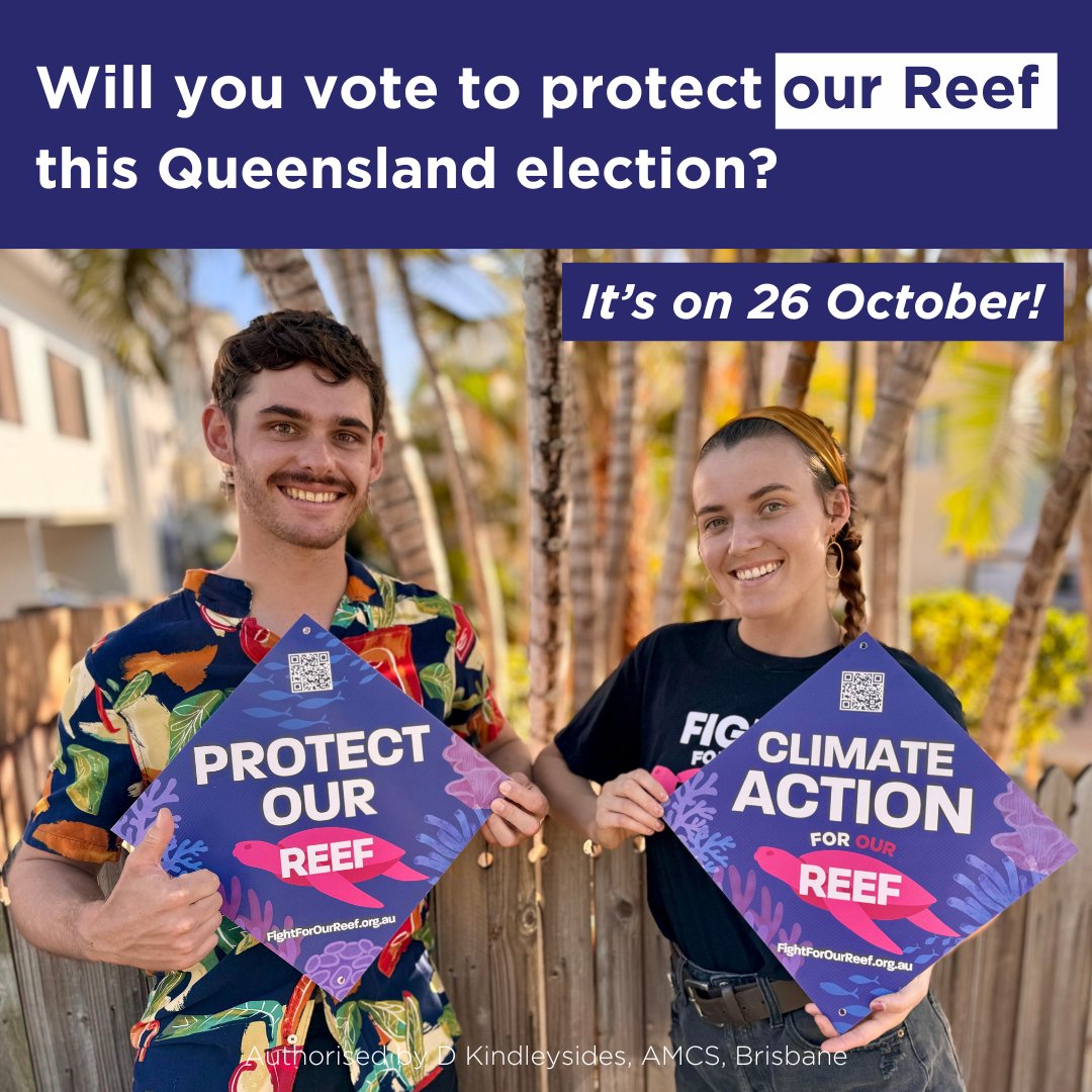 Find out the policies we are calling for at the 2024 Queensland election: marineconservation.org.au/policy-recomme…

𝘈𝘶𝘵𝘩𝘰𝘳𝘪𝘴𝘦𝘥 𝘣𝘺 𝘋 𝘒𝘪𝘯𝘥𝘭𝘦𝘺𝘴𝘪𝘥𝘦𝘴, 𝘈𝘔𝘊𝘚, 𝘉𝘳𝘪𝘴𝘣𝘢𝘯𝘦