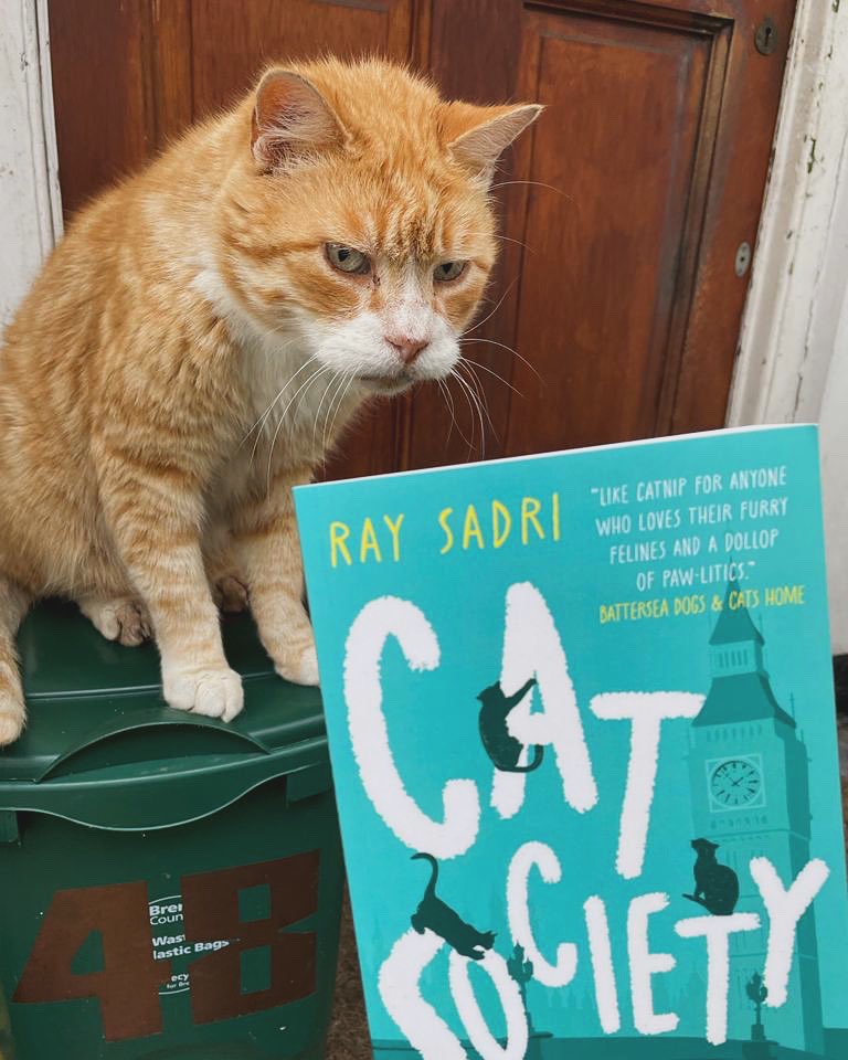 Meet Kiki from Brent. She’s horrified that there are strays and moggies living by the bins in modern day Britain. 

#CatSociety 

#cats #CatsLover #books #booksbooksbooks #WednesdayMotivation