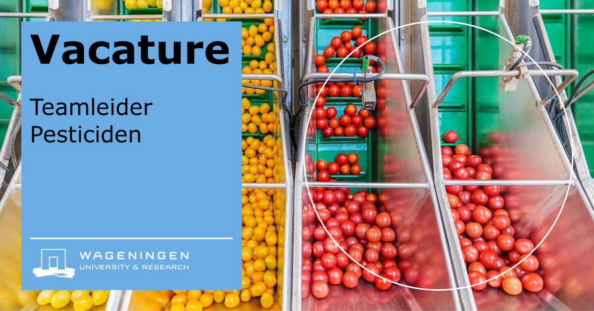 WURfoodsafety's tweet photo. ✔️Bij @wurfoodsafety zijn wij op zoek naar een nieuwe #teamleider voor het team Pesticiden 1! 

✔️Word jij onze nieuwe collega?

✔️#Vacature: https://t.co/BPFpwsugMH https://t.co/tQBy1MhA7R