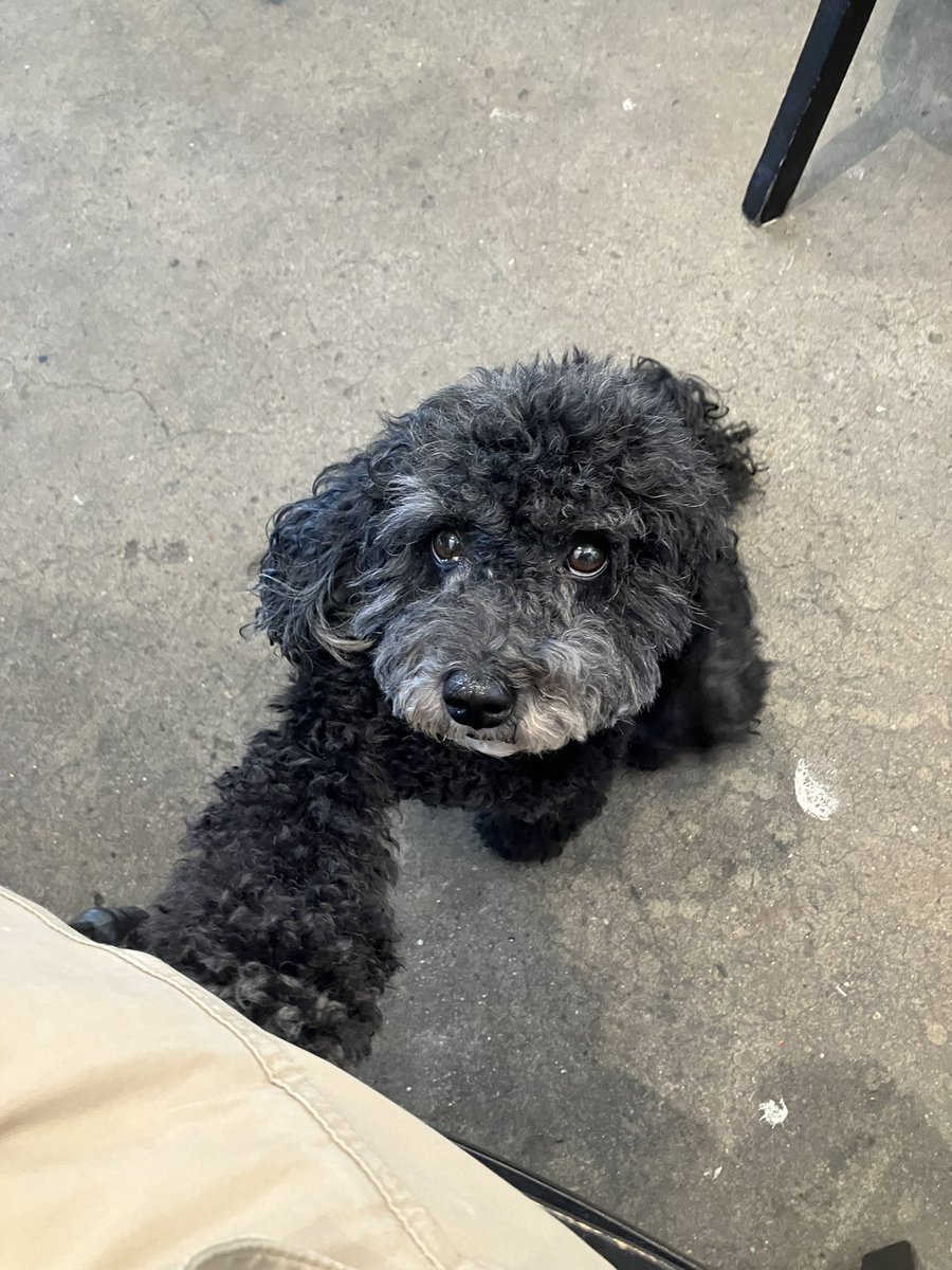 Ik dacht even rustig in een café te gaan werken.