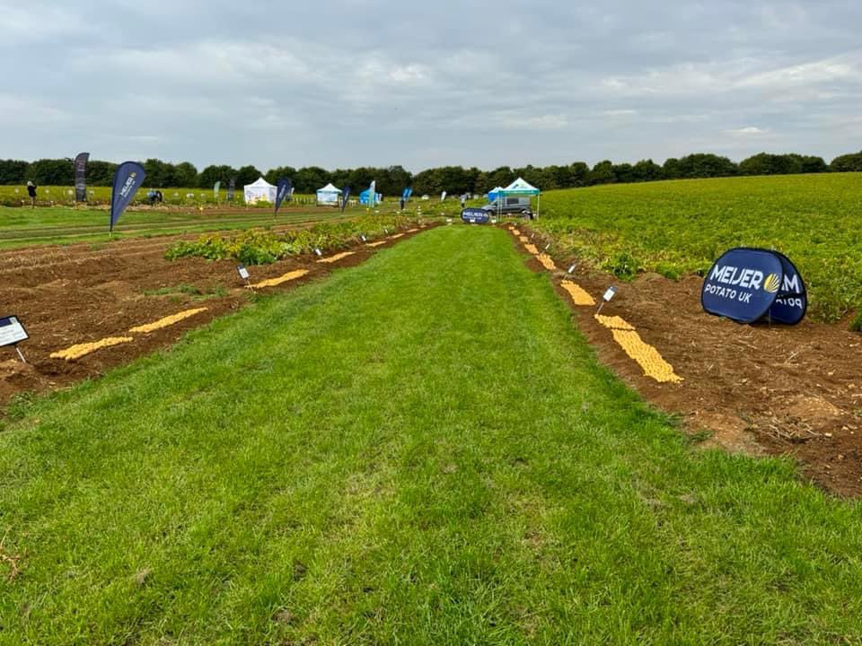 All ready at our trial event at Mill Farm, Caythorpe. The full range of Meijer varieties are on display, and we’re here from 9-4 today and 9-2 tomorrow.