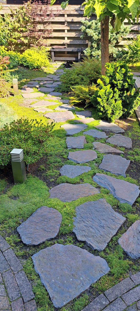 OneFallenAngelM's tweet image. "The most rewarding trails are the ones we make for ourselves. Those are ones we can leave behind for others to follow." #MyPath 🚶🏼‍♀️😊💚🎈