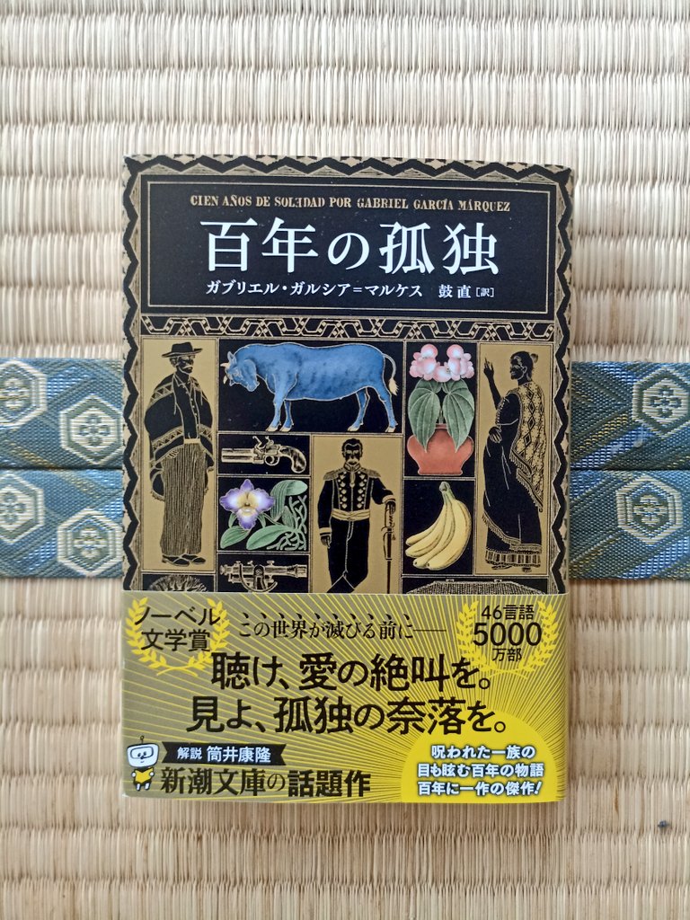 Cien años de soledad alias One Hundred Years of Solitude alias Seratus  Tahun Kesunyian alias 百年の孤独 (hyakunen no kodoku) ✨