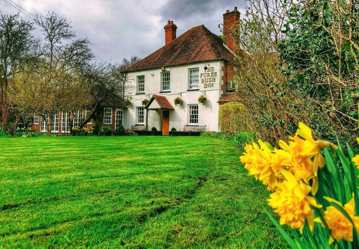 TheBBDirectory's tweet photo. 🍻 Whether visiting for leisure or business, The Furze Bush Inn is the perfect place to stay, dine, and relax in Newbury. Come and experience their warm hospitality today! 🌳
https://t.co/HQncNpUJSx
#Newbury #Berkshire #BandB #RelaxingAtmosphere #Accommodation #Bar #Restaurant https://t.co/oMZ14cXGsr