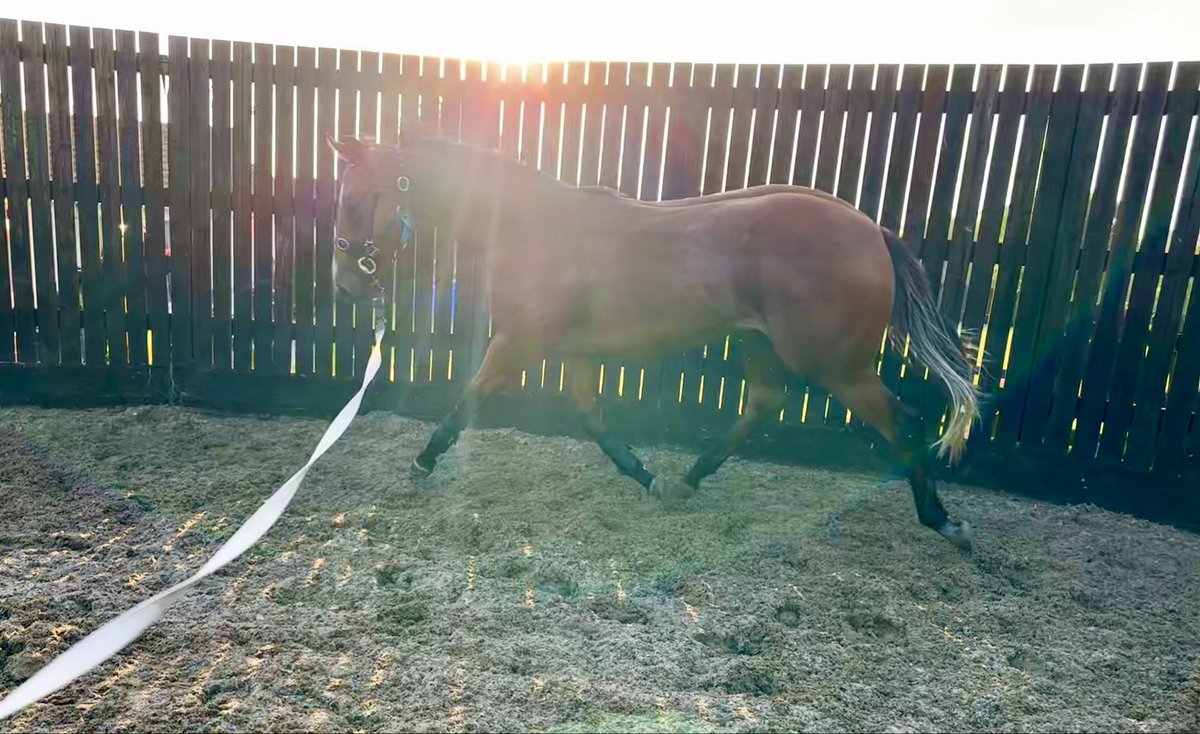 Tracy Vigors tweet media