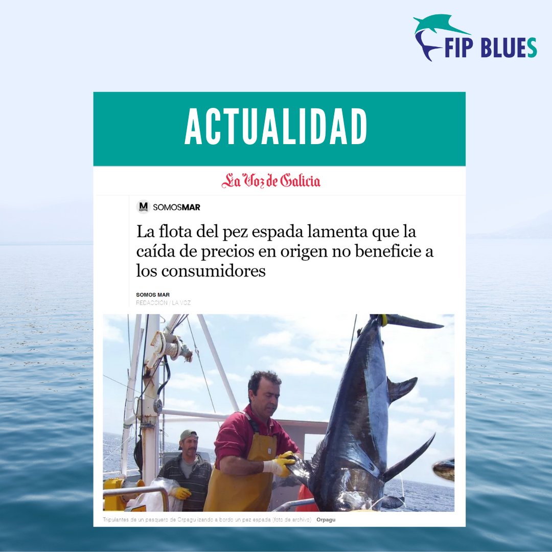 La flota palangrera gallega ha hecho sonar las alarmas tras acumular varios meses en pérdidas.
Las principales organizaciones del sector que faena al pez espada, tintorera y marrajo apuntan soluciones y propuestas al Gobierno.
Via <a href="/lavozdegalicia/">La Voz de Galicia</a>
lavozdegalicia.es/noticia/somosm…