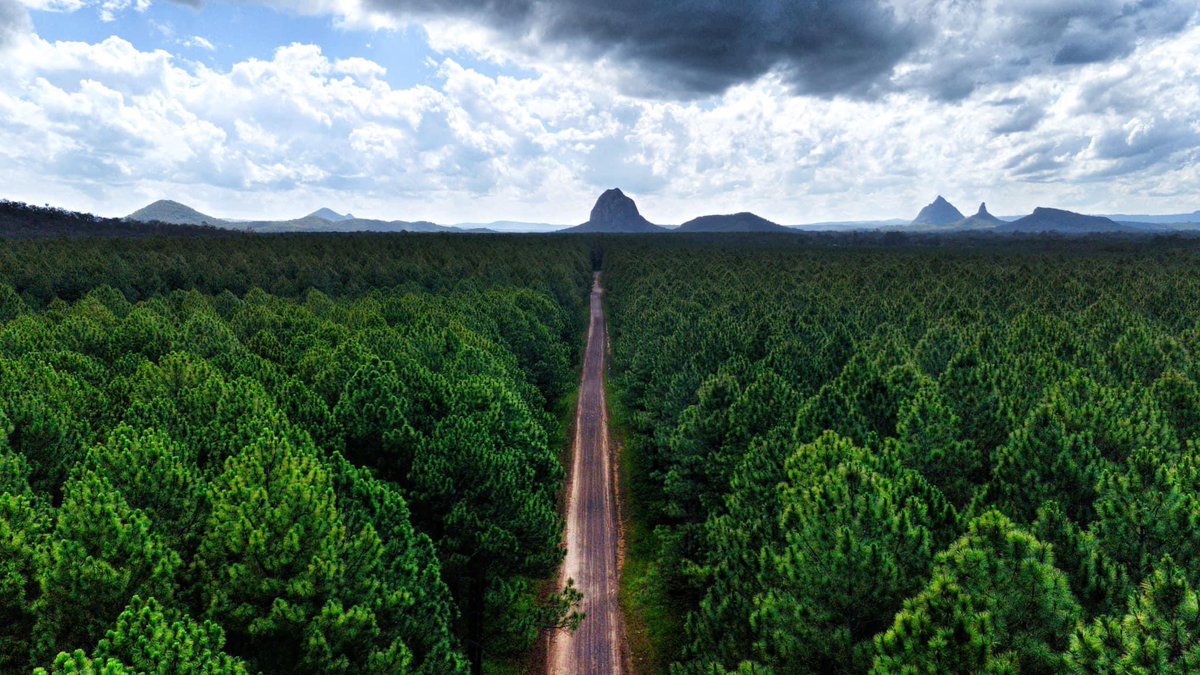 Vivystravels's tweet photo. Glasshouse views from above the trees 🌲 from Beerburrum East State Forest 

📸 @mclaurie83 

#drone #adventure #explore #hike  #nature #mountains #seeaustralia  #sunshinecoast #beerburrum #glasshousemountains #qld https://t.co/8PHOSfVBbZ