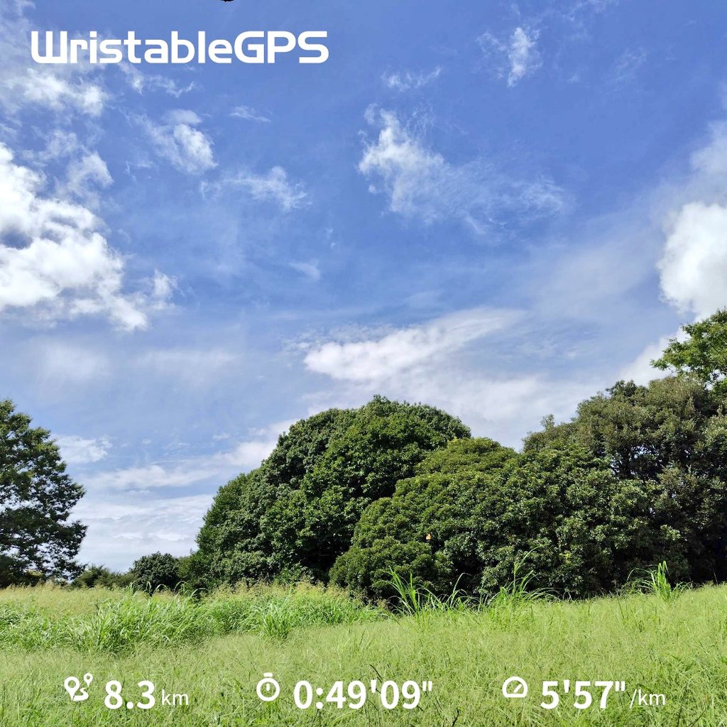 texas_blues_man's tweet photo. #50過ぎの親父が肉体改造に挑戦してみたら
8.3㎞ 49'09" 5'57"/㎞
Eペース走
なんとも焦れったい台風
長引く雨風で災害が心配ですね😔
台風で話題になってませんが未明に突き上げるような地震があってこちらも心配です😳
心拍数 48(安静時)
体温 36.5℃
#ランニング
#ジョギング
#Age56 https://t.co/Rn3xs2Q36e