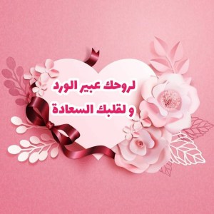 bdalzyz18864450's tweet photo. @elirnz @TolasariaA2111 https://t.co/e8vovQoNI1