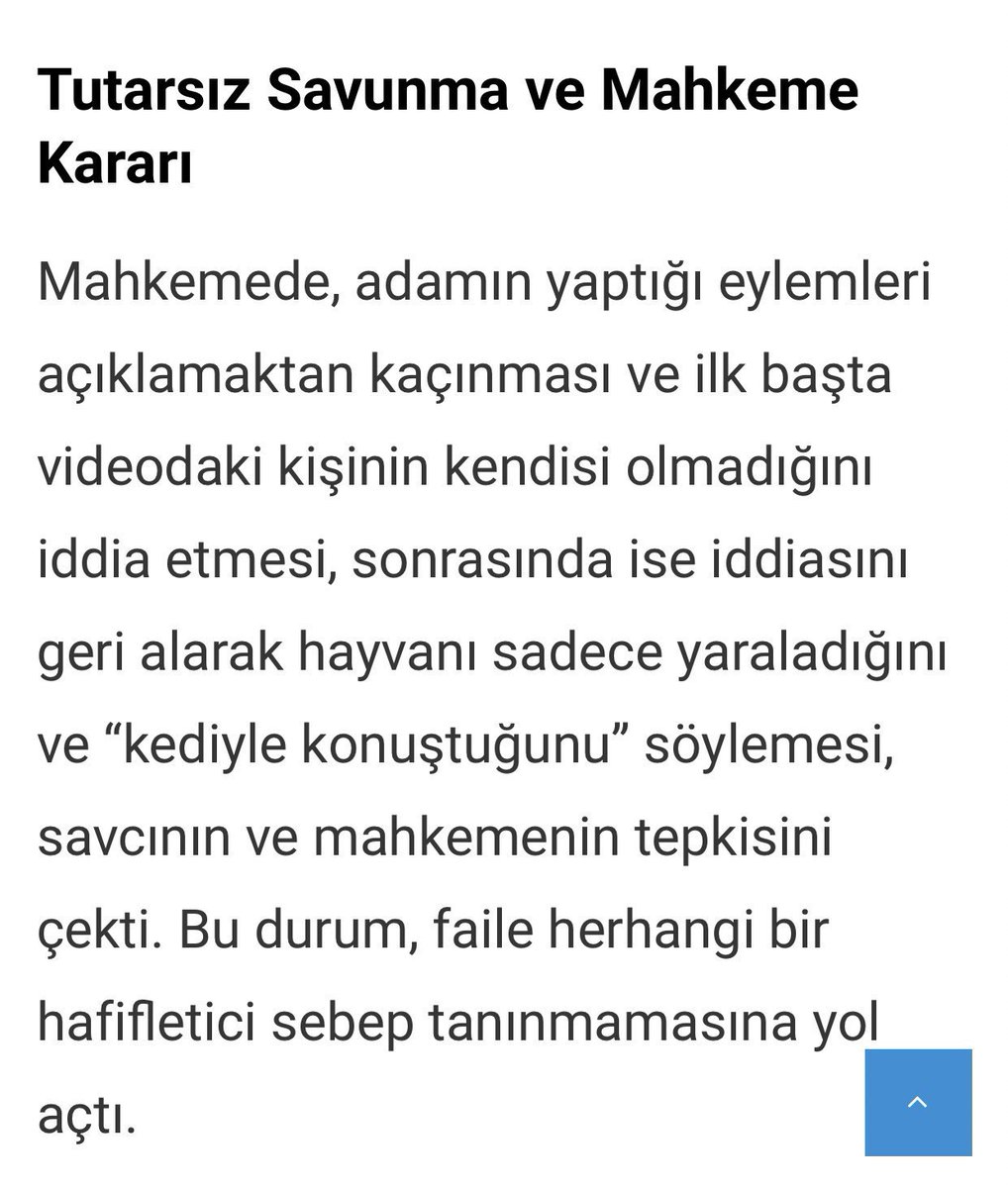 guclusinemm's tweet photo. Yunanistan'da 33 yaşındaki bir adam, Atina'nın bir mahallesinde iki evsiz kediyi öldürdüğü için sekiz yıl hapis cezasına ve ayrıca 20.000 euro para cezasına çarptırıldı. Caydırıcı cezalar istiyoruz @yilmaztunc 

 #ramazanzührekoşartutuklansın https://t.co/1EoguoIMyE