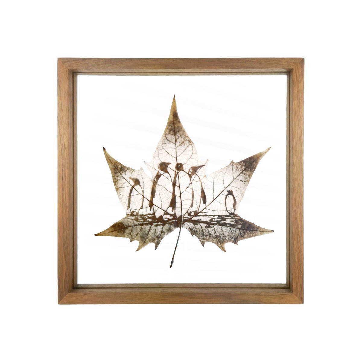 Flora_Whisper's tweet photo. Embark on a journey to the enchanting world of polar creatures with our Wandering Penguins Leaf Carving Art! 🐧❄️ 

#PenguinLeafCarvingArt #NatureInspired #HomeDecor #WildlifeArt #PenguinLove #InteriorDesign #DecorInspo https://t.co/HFKHLewEFk