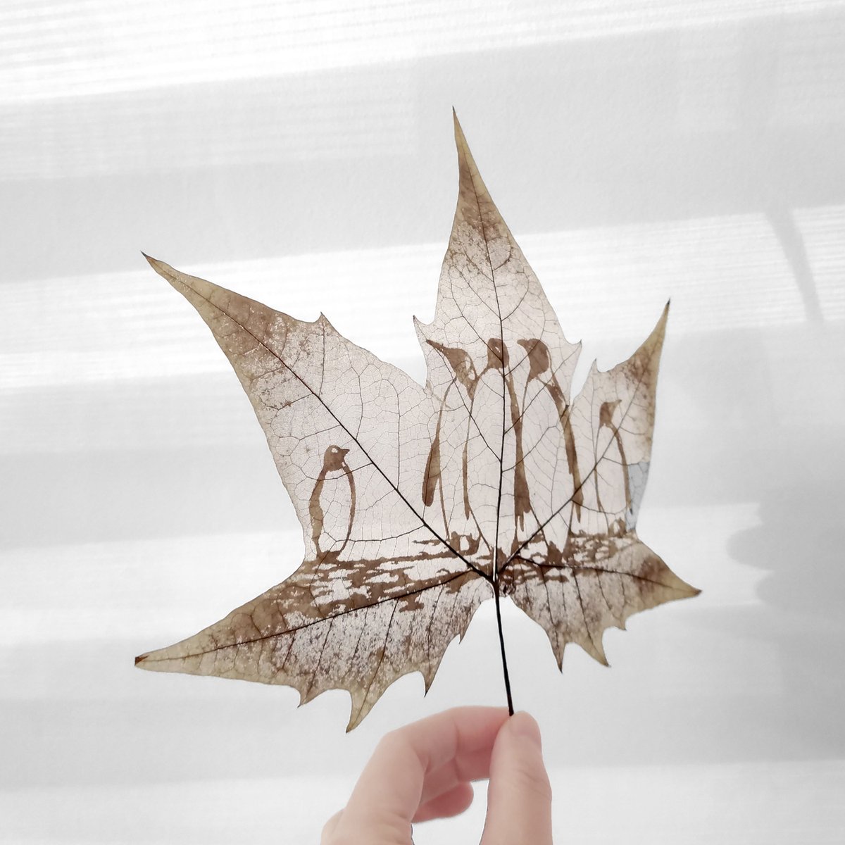 Flora_Whisper's tweet photo. Embark on a journey to the enchanting world of polar creatures with our Wandering Penguins Leaf Carving Art! 🐧❄️ 

#PenguinLeafCarvingArt #NatureInspired #HomeDecor #WildlifeArt #PenguinLove #InteriorDesign #DecorInspo https://t.co/HFKHLewEFk