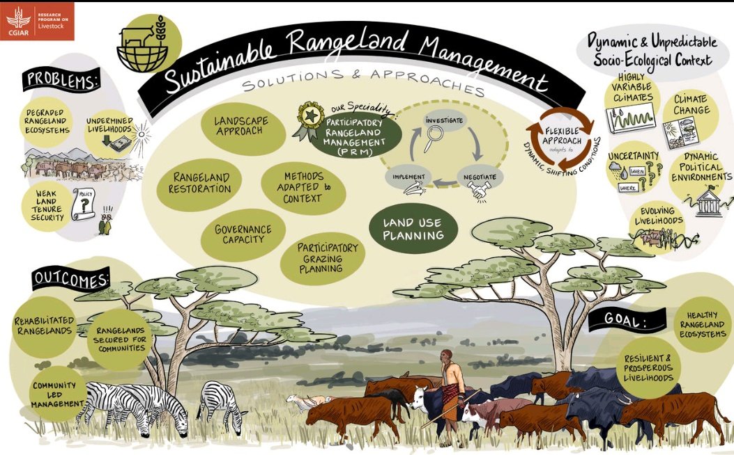 Challenges in rangeland #ecosystems are complex and dynamic, but with sustainable solutions like #community-led management #participatory grazing, and landscape approaches, we can achieve resilient and prosperous rangelands.#RangelandRestoration #ClimateChange #SustainableLandUse