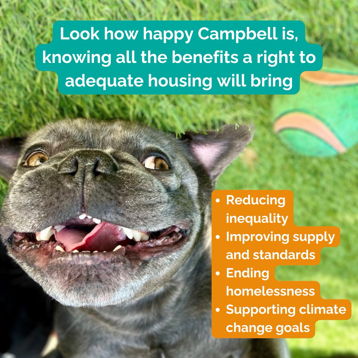 Tai Pawb tweet media