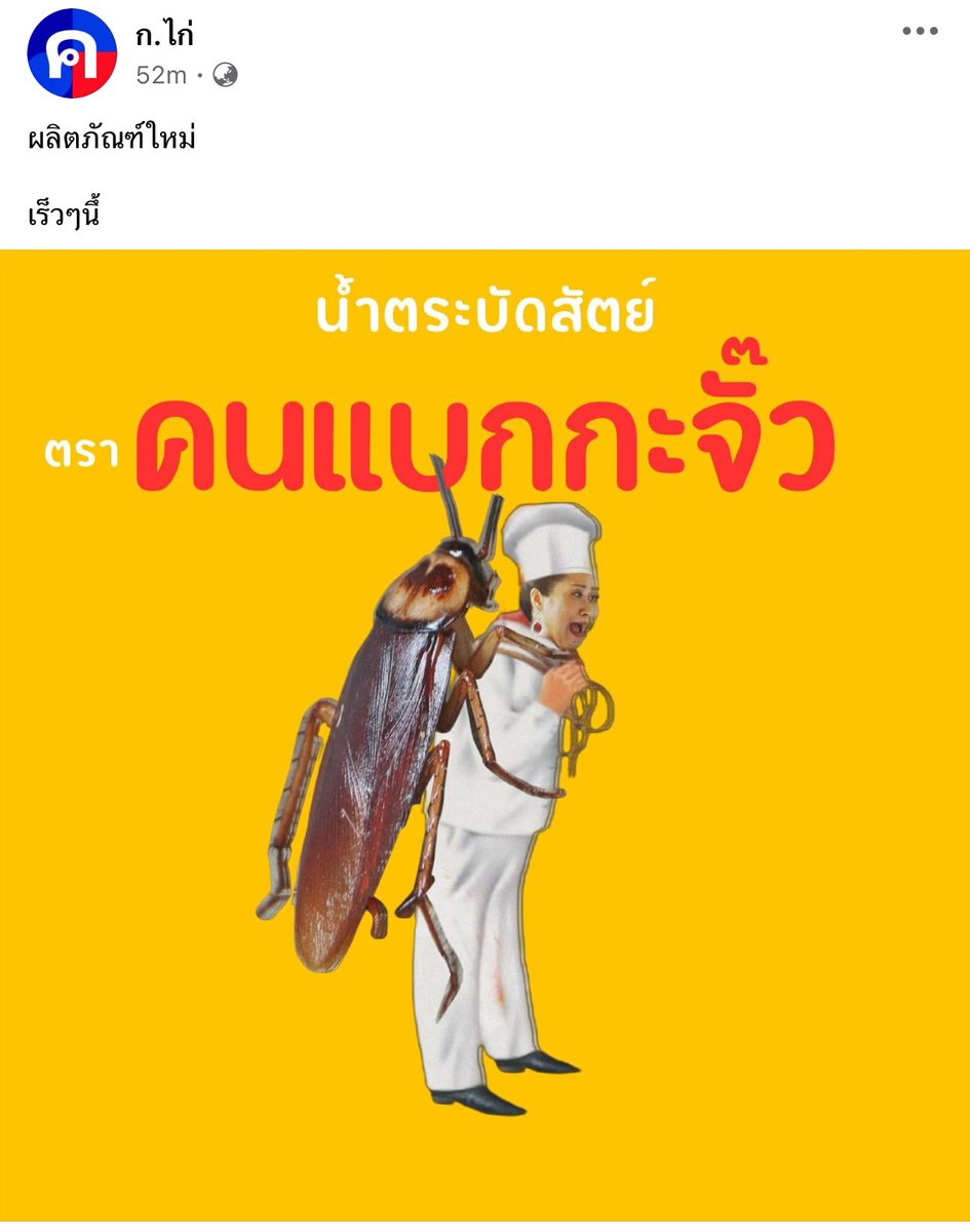 อัญชลีวันทาทะเลาะวิวาท tweet media