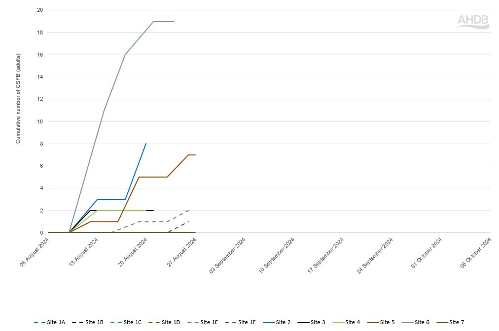 Siobhan Hillman (@aphidstoz) on Twitter photo The latest results from <a href="/AHDB_Cereals/">AHDB Cereals</a> funded CSFB monitoring are in! The highest recorded cumulative number is still at the Suffolk site but the Kent and Yorkshire sites are slowly catching up. For regular updates visit ahdb.org.uk/csfb The latest results from <a href="/AHDB_Cereals/">AHDB Cereals</a> funded CSFB monitoring are in! The highest recorded cumulative number is still at the Suffolk site but the Kent and Yorkshire sites are slowly catching up. For regular updates visit ahdb.org.uk/csfb
