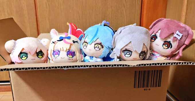 頼んでたちっちゃいホロフレのねぽらぼところさんが届いた!連れ回しやすいサイズ感で可愛いぞ(   ᷇ᢦ ᷆ )ヌホホ 