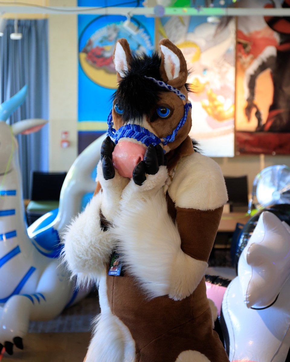 Oh! It's wednesday! 2 more days for weekend! :D 
photo - <a href="/DerooShep/">Deroo</a>