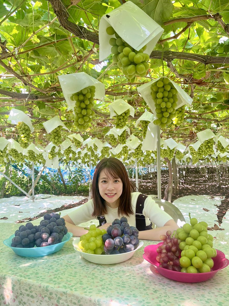 あす29日(木)の #めざましテレビ は… 「#やってユイ！」 今が旬