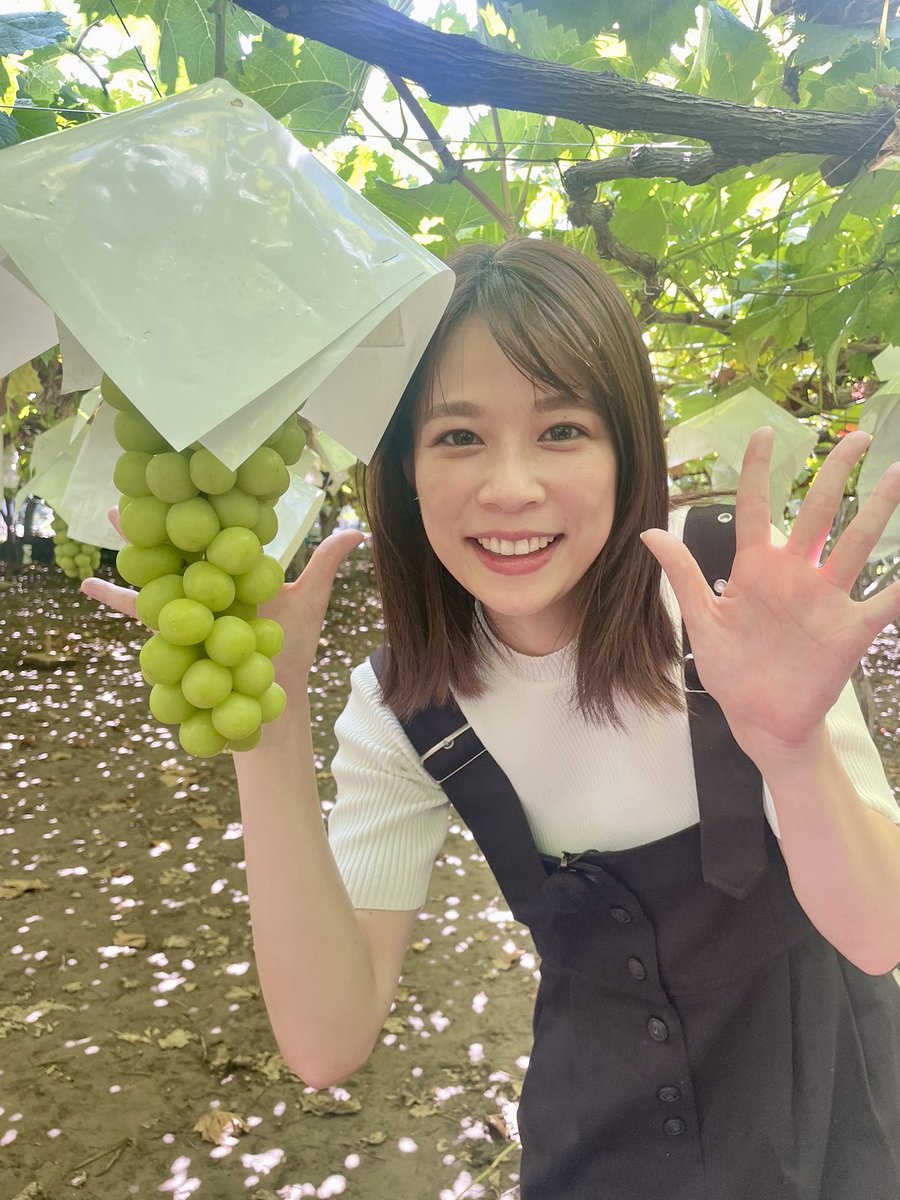 あす29日(木)の #めざましテレビ は… 「#やってユイ！」 今が旬