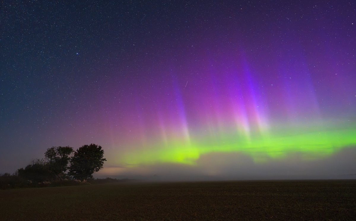 kairokiitsak's tweet photo. Northern lights last night in Simuna, #Estonia 28.08.2024. #aurora https://t.co/yqv82Jo9WI