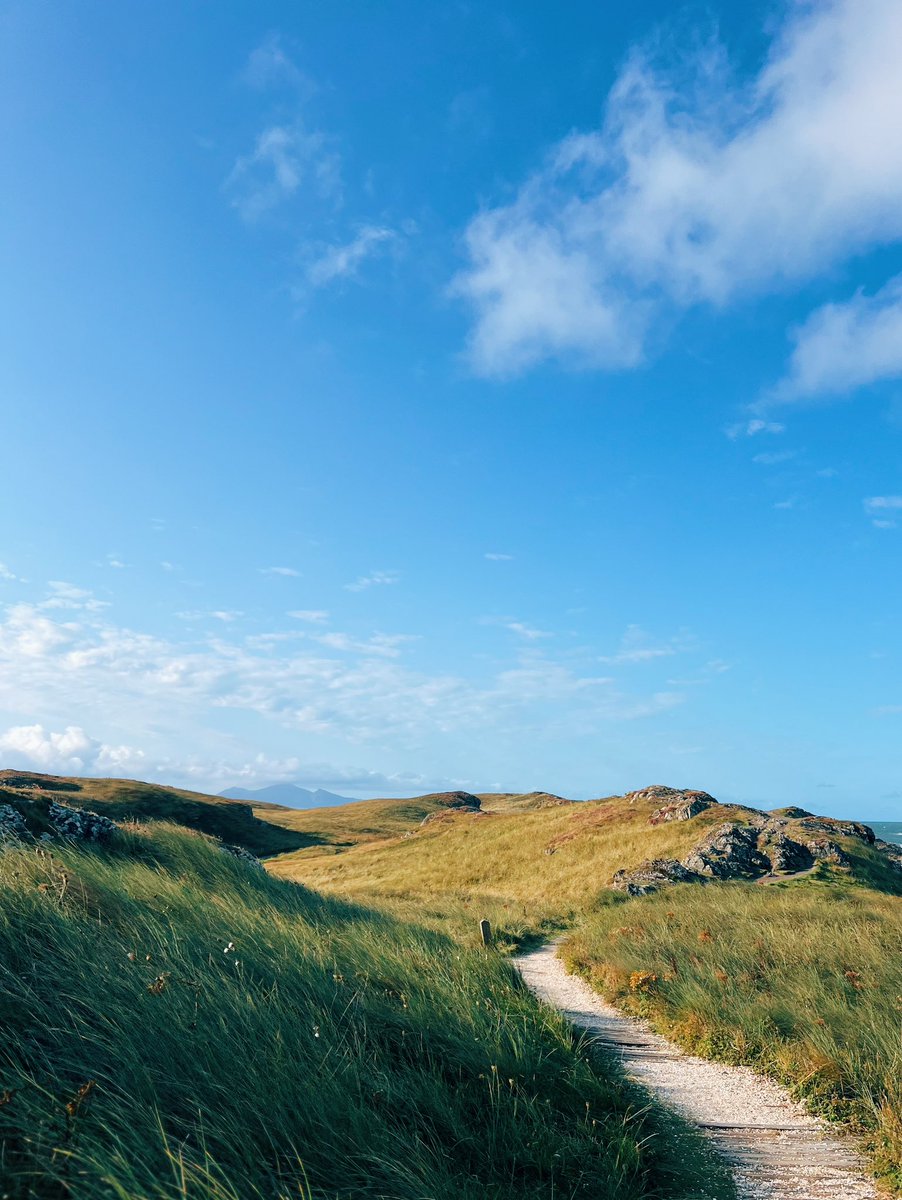 laurenemsutton's tweet photo. morning beach walks // Newborough, Llanddwyn Island https://t.co/mADrsxqOBZ