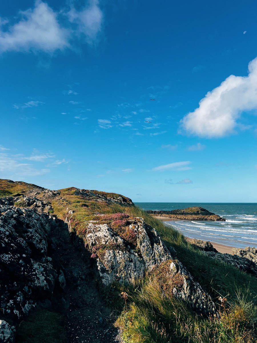 laurenemsutton's tweet photo. morning beach walks // Newborough, Llanddwyn Island https://t.co/mADrsxqOBZ