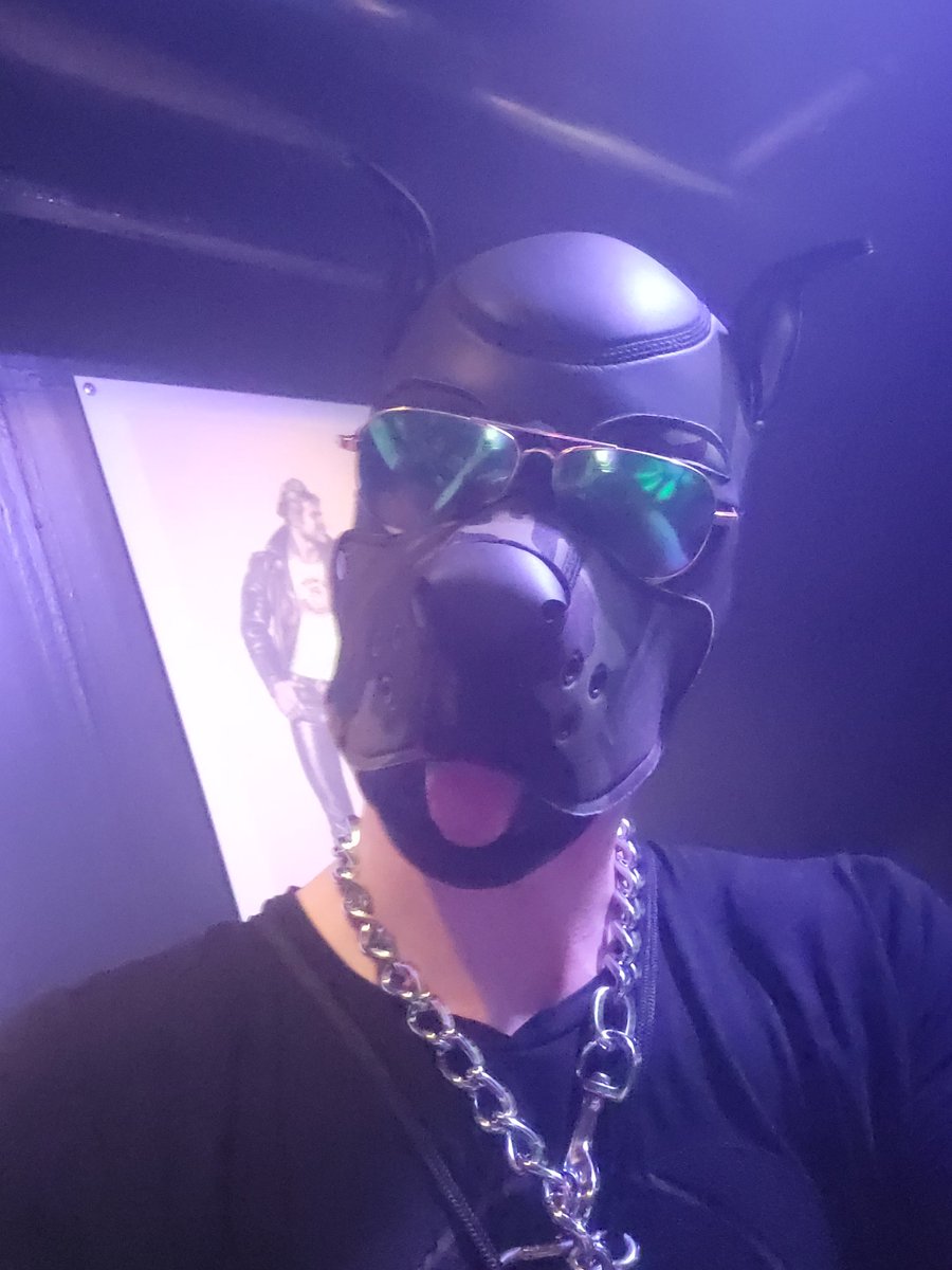 Pup Camo jetzt auch hier am Start
Arwrooff🐾🐶