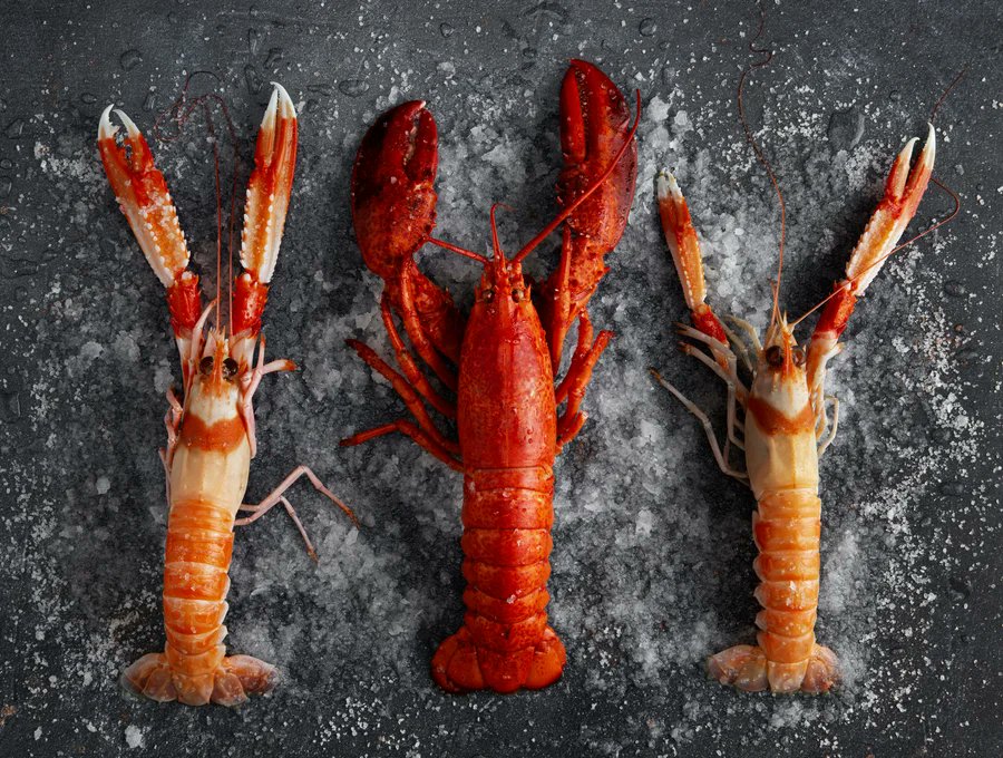 Sustainable Fisheries Partnership tweet media