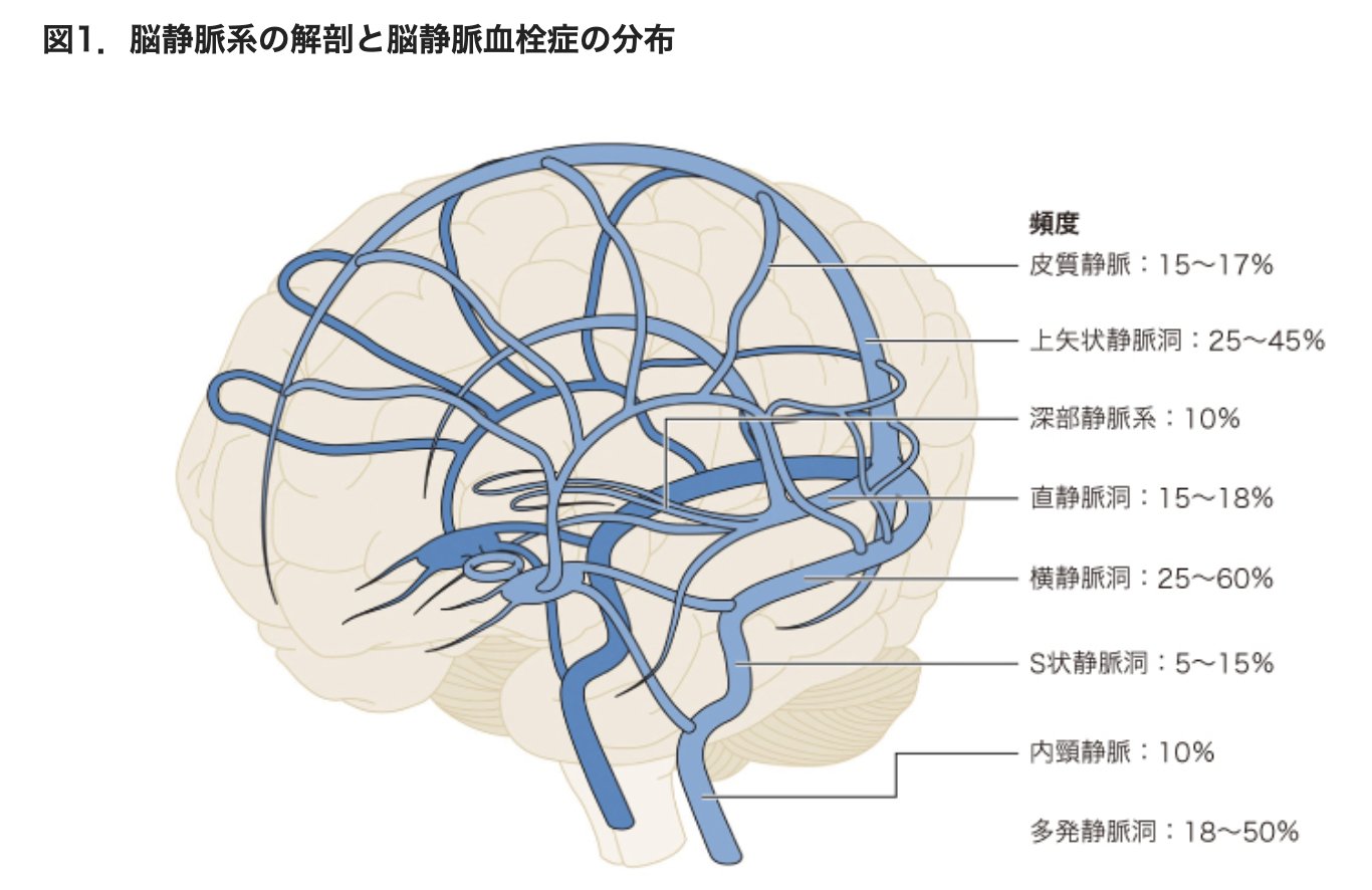 河野健一 Kenichi Kono | 脳外科医 CEO|AI 医療 MBA|脳血管内 河野健一 Kenichi Kono | 脳外科医 CEO|AI 医療 MBA|脳血管内