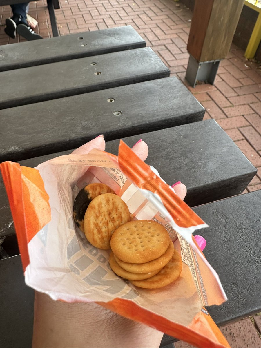 Alice Wadsworth tweet media