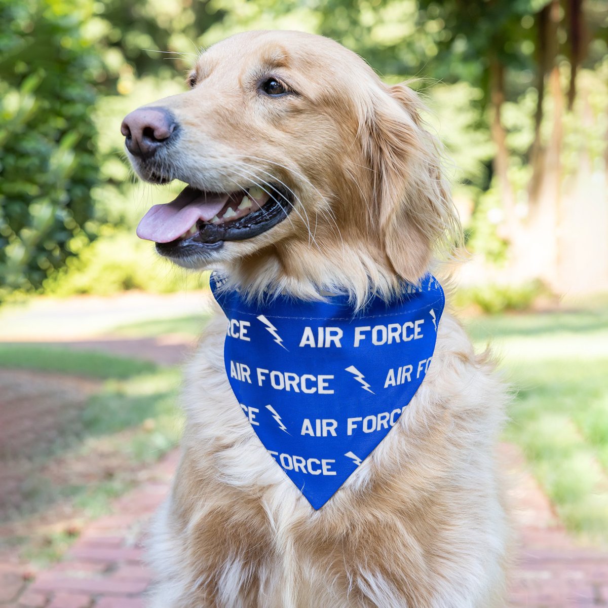 Wishing all our canine fans and their canine parents a Happy National Dog Day! #doglife #happydogs #DogParents #doggo  #dogproducts #DogBandana #ilovemydog #dogphotography #petfashion #dogfashion #dogowners #nationaldogday #madeintheusa #allstardogs