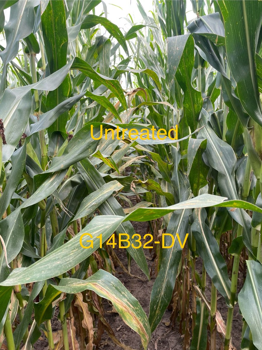 Andrew Rupe tweet media