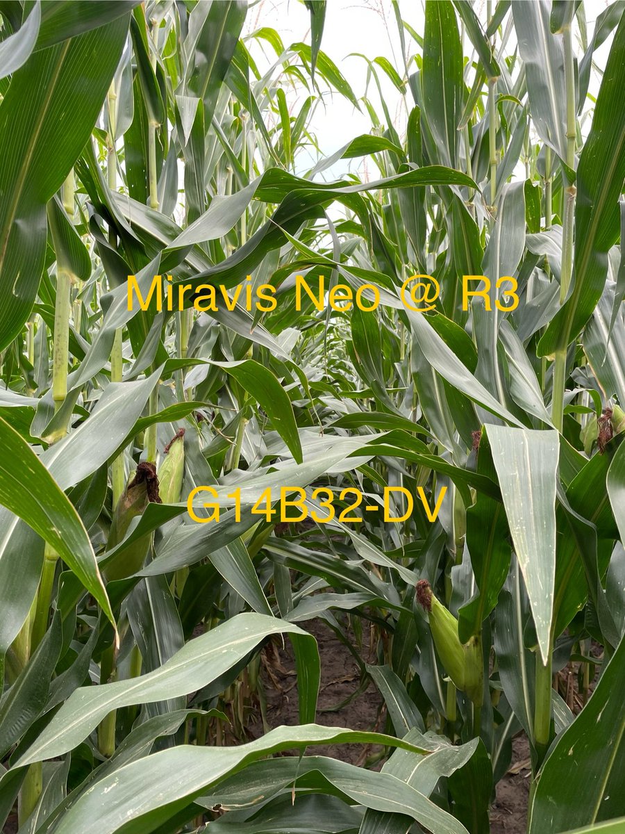 Andrew Rupe tweet media