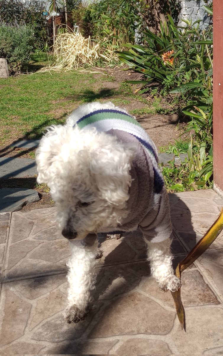 Sil 🌵🌺 tweet media