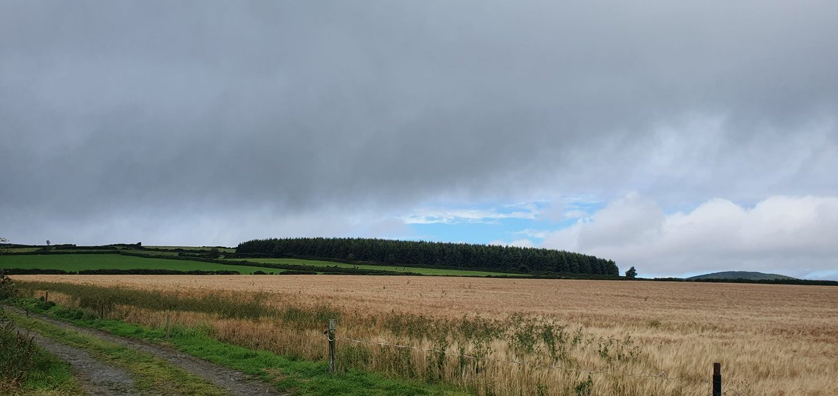 Wfskelton's tweet photo. A few pictures from yesterday, near Bunclody https://t.co/TYozed6EVB