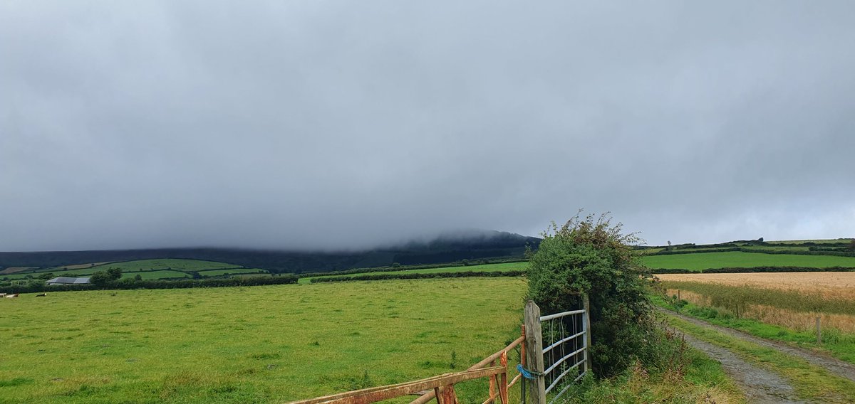 Wfskelton's tweet photo. A few pictures from yesterday, near Bunclody https://t.co/TYozed6EVB