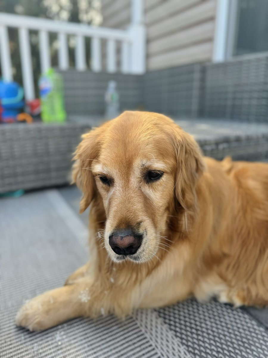 Is there something in my whiskers 😂🫧