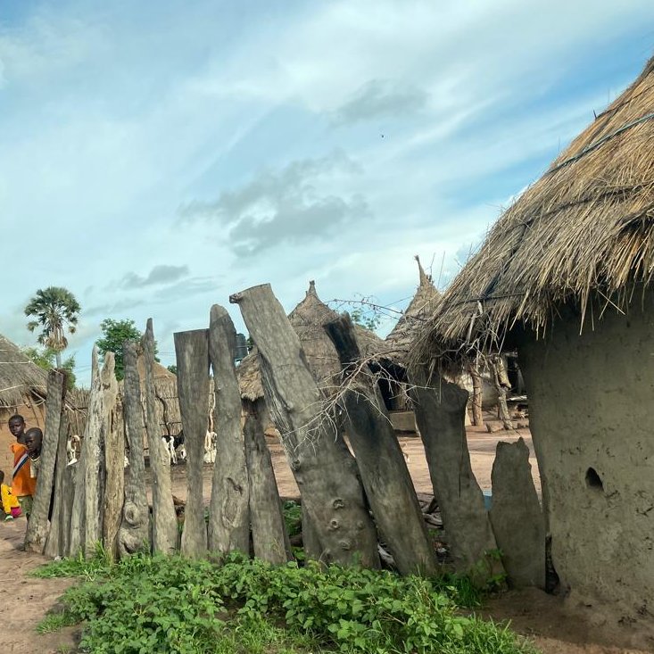 UNDP_TheGambia's tweet photo. 🌟 Exciting news #sdg7
Through #UNDP's #partnership with #MoPE, 3 hard-to-reach communities (Sare Demba Toro, Jamu Mballow, and Yerorie) in Sandou URR, now have access to 24/7 affordable and clean energy. A newly installed 150kWP solar mini-grid 
#energy #CommunityAction https://t.co/BhdvOLJLhw