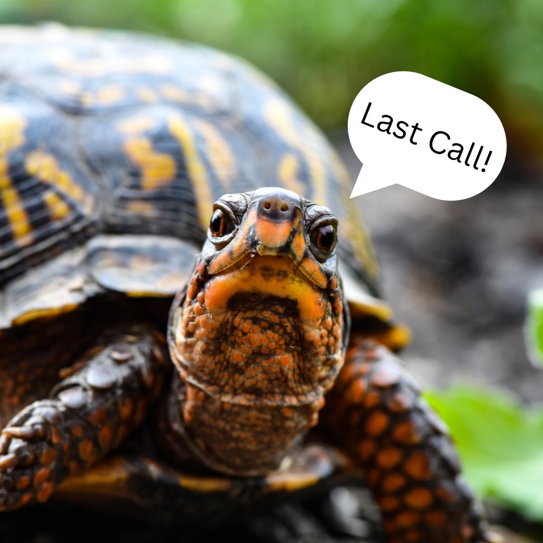 Midwest PARC (@mwparc) on Twitter photo Last call! This is the final week to send your nominations for MWPARC Co-chair and Advisory Board positions. Please send all nominations to parcmidwest@gmail.com by August 31 for consideration! Eection will be held in Sept!
📸: Eastern Box Turtle by David Dilbert #mwparc #herps Last call! This is the final week to send your nominations for MWPARC Co-chair and Advisory Board positions. Please send all nominations to parcmidwest@gmail.com by August 31 for consideration! Eection will be held in Sept!
📸: Eastern Box Turtle by David Dilbert #mwparc #herps